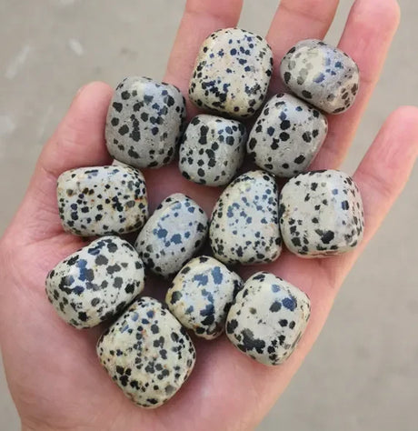 Hand holding a collection of speckled stones with a neutral background