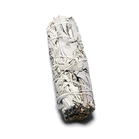 White sage smudge stick on a white background