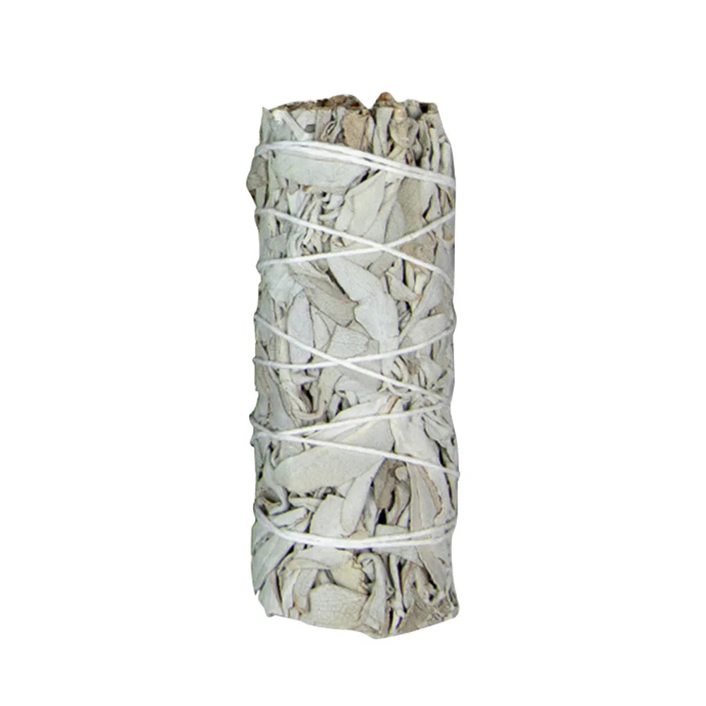 White sage smudge stick wrapped with white string on a white background