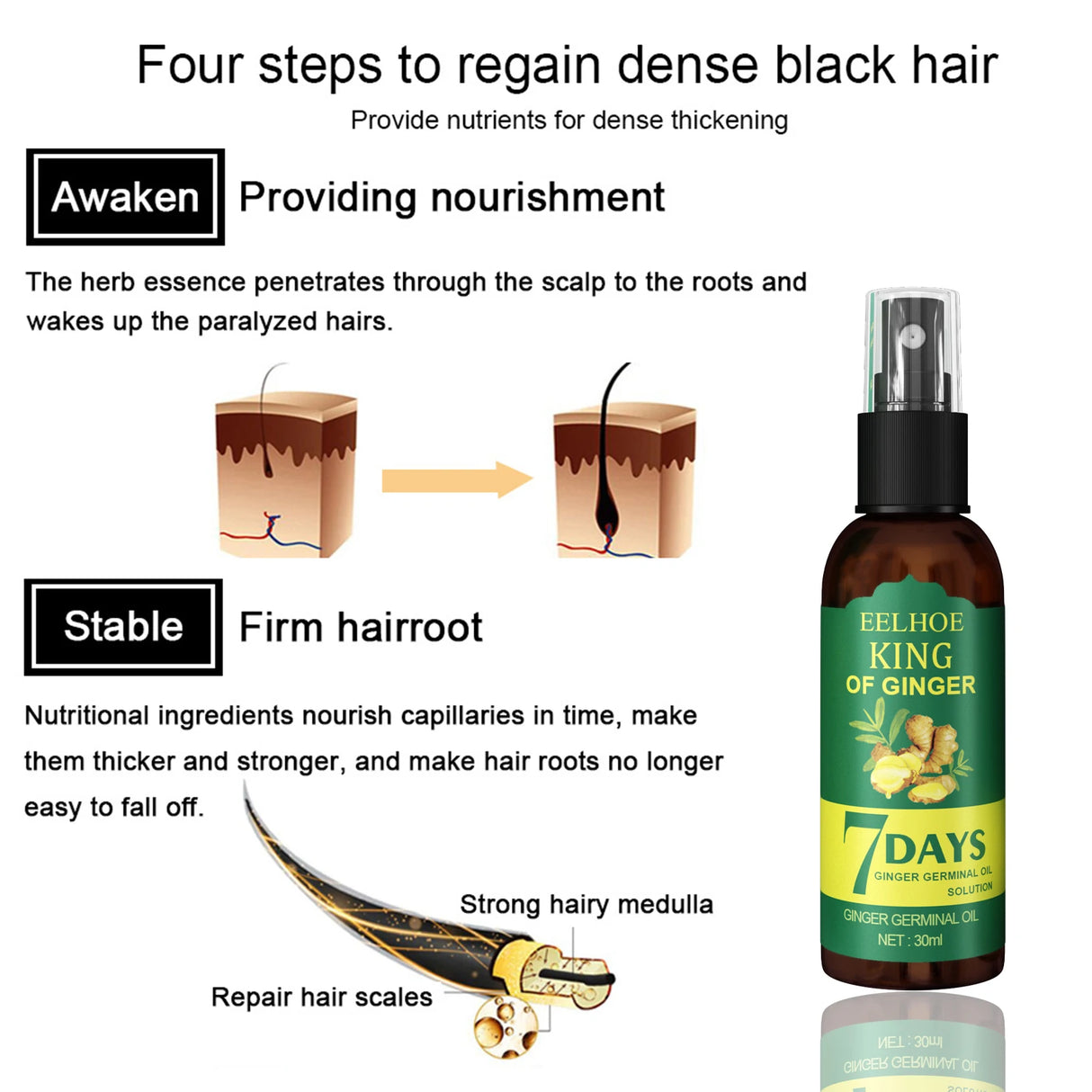 Hair care product with text on four steps to regain dense black hair, including a bottle labeled 'King of Ginger' and illustrations.