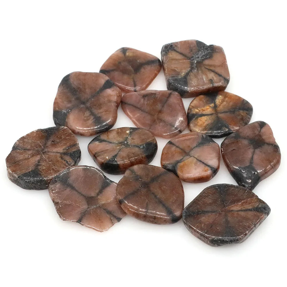 Collection of brown and black stone chips on a white background