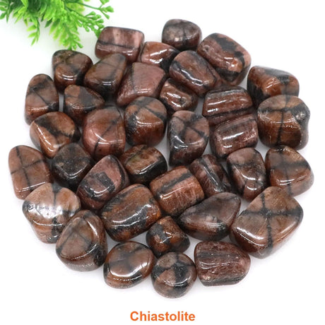 Collection of chiastolite stones on a white background with greenery.