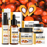 Collection of Lewedo Batana hair care products with palm oil fruits in the background
