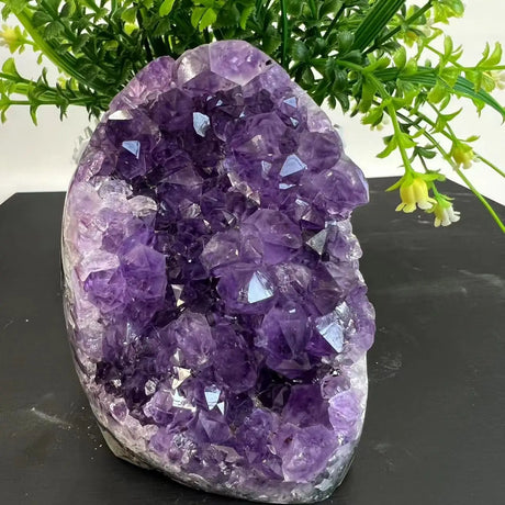 Amethyst crystal cluster on a dark surface with greenery in the background