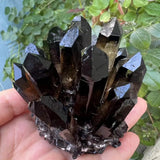 Hand holding a large smoky crystal cluster with green foliage in the background
