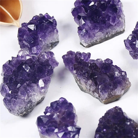 Amethyst crystal clusters on a white background