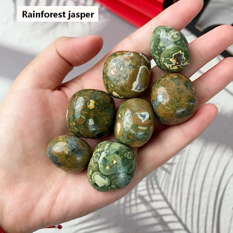 Hand holding multiple Rainforest Jasper stones with a blurred background