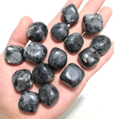 Hand holding a collection of dark gray stones against a white background