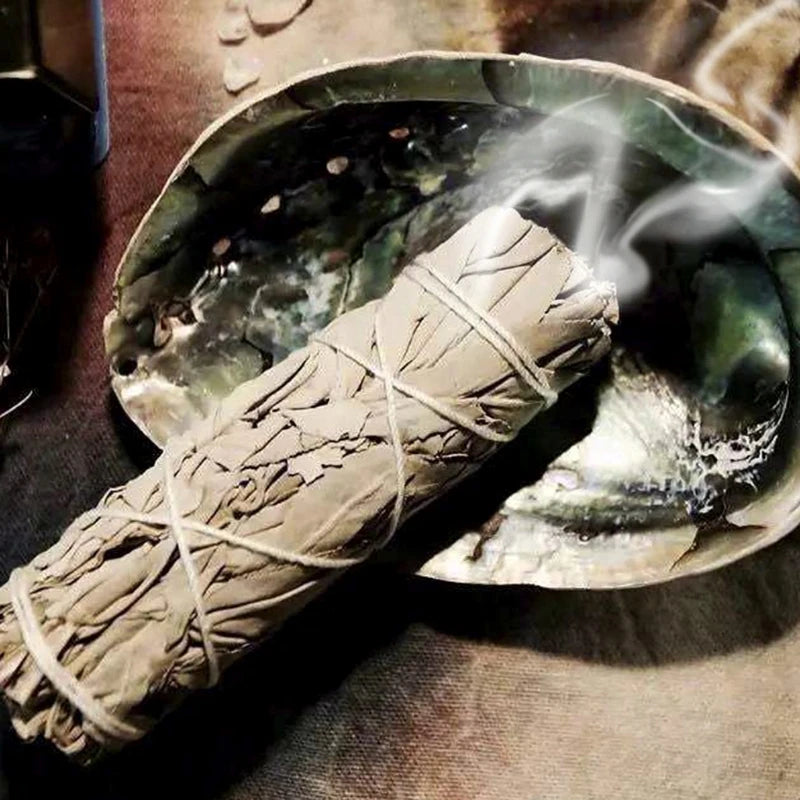 Smoldering sage bundle on a large shell with smoke rising, on a textured surface.