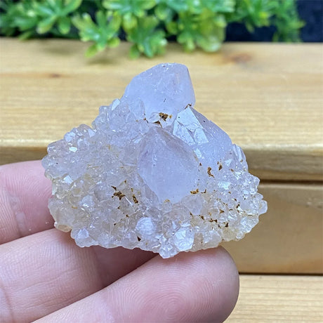 Clear crystal rock held in a hand with a wooden surface and greenery in the background