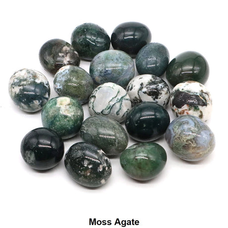Collection of moss agate stones on a white background