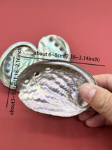 Two abalone shells held by a hand with measurements on a red background
