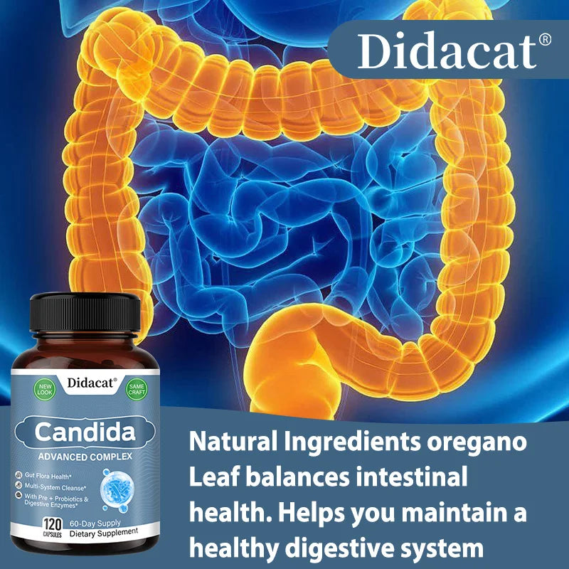 Supplement bottle labeled 'Didacat Candida' with an illustration of intestines in the background.