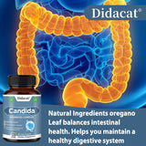 Supplement bottle labeled 'Didacat Candida' with an illustration of intestines in the background.