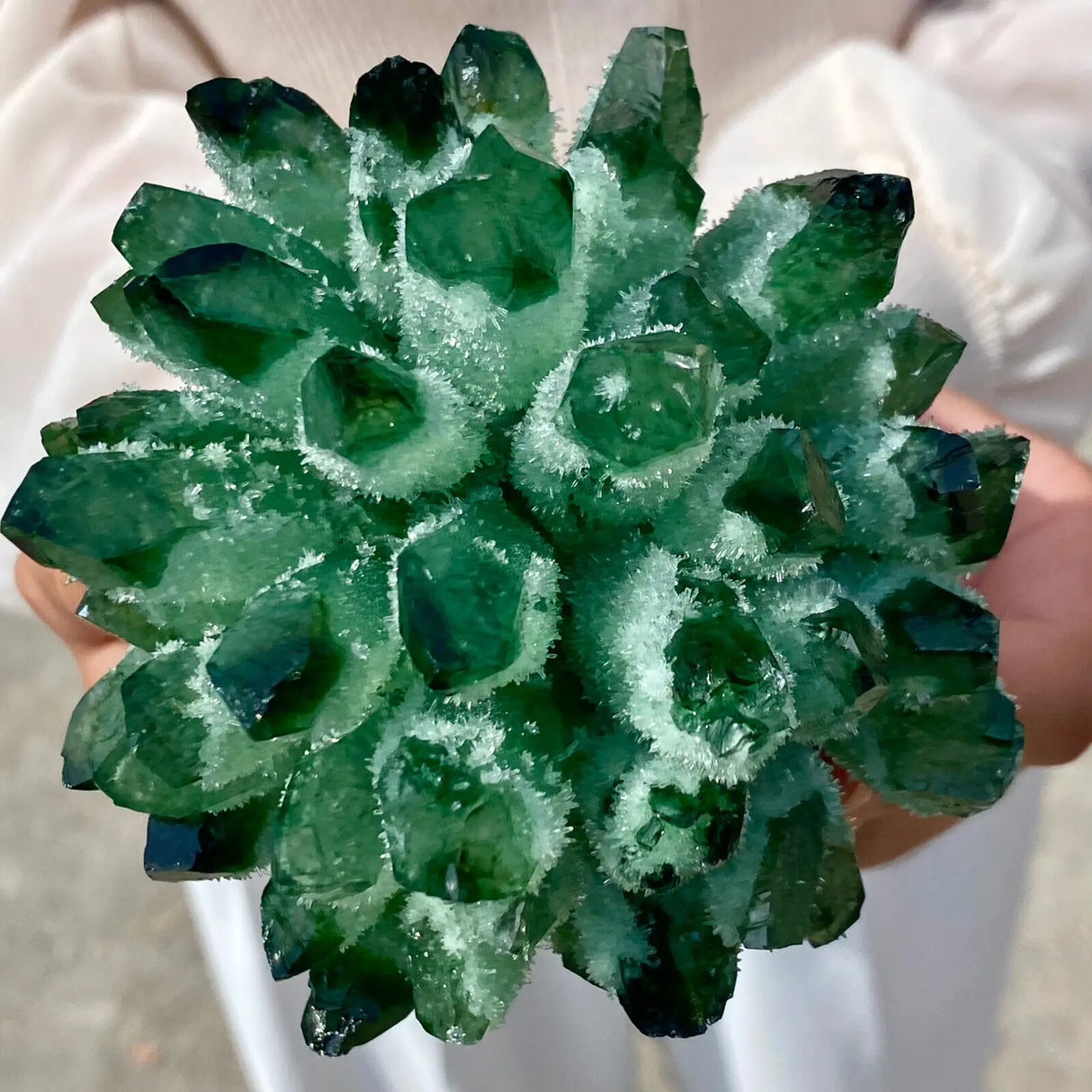 Close-up of a green crystal-like plant held by a person.