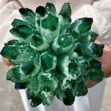 Close-up of a green crystal-like plant held by a person.