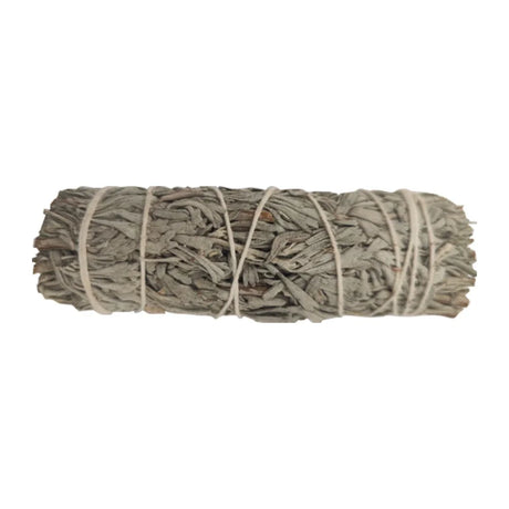 Rolled sage smudge stick tied with string on a white background