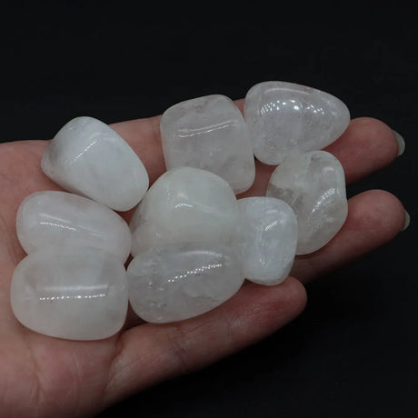  white stones held in a hand on a white background