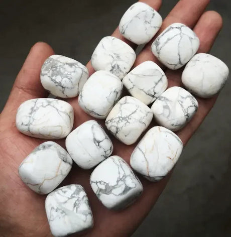 Hand holding a collection of white marbled stones against a dark background