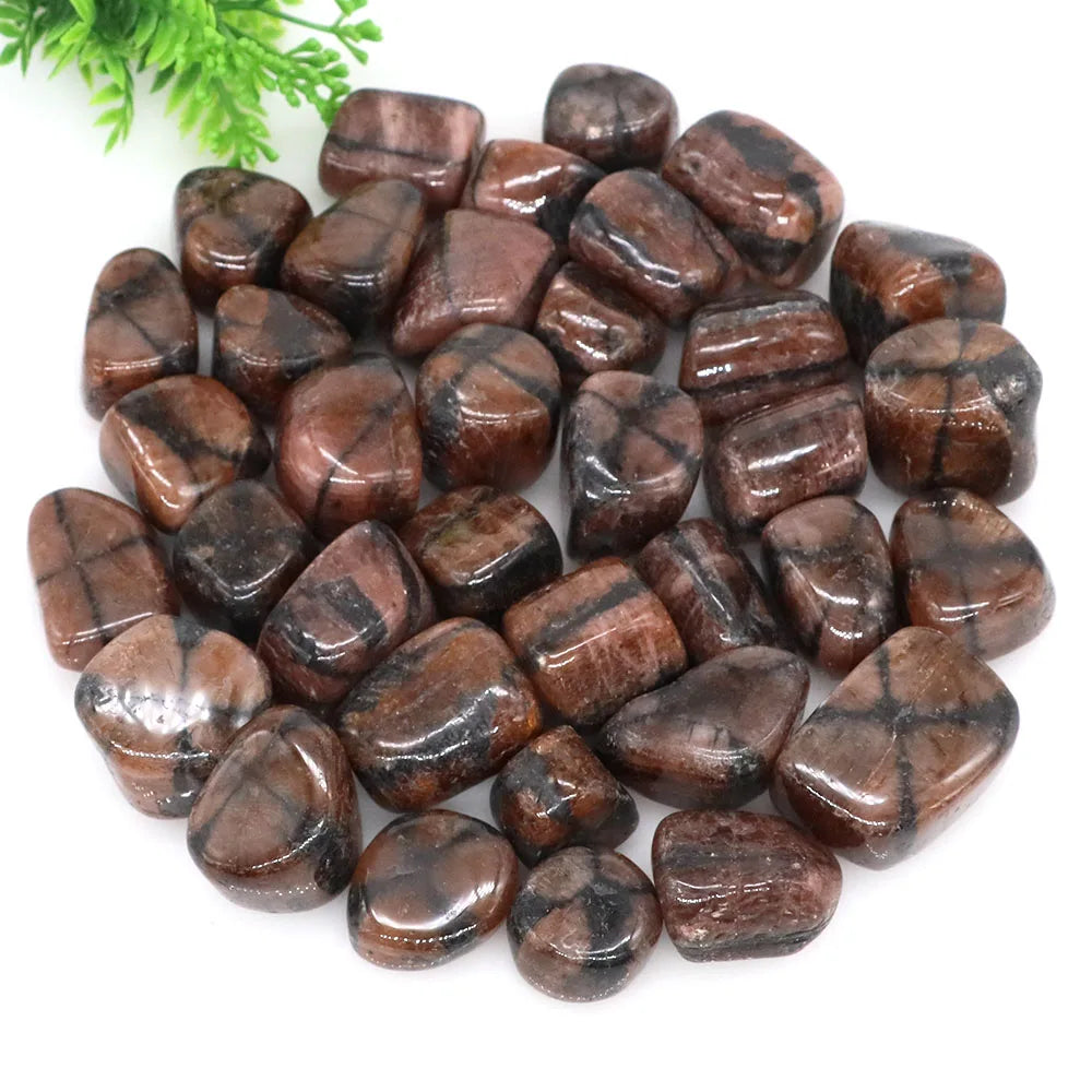Collection of brown tumbled stones on a white background with greenery at the top.
