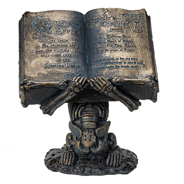 Skeleton holding Spell Book