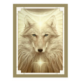 White Light Oracle