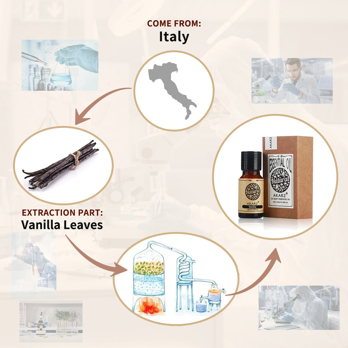 Diagram showing the origin of vanilla from Italy and its extraction process.