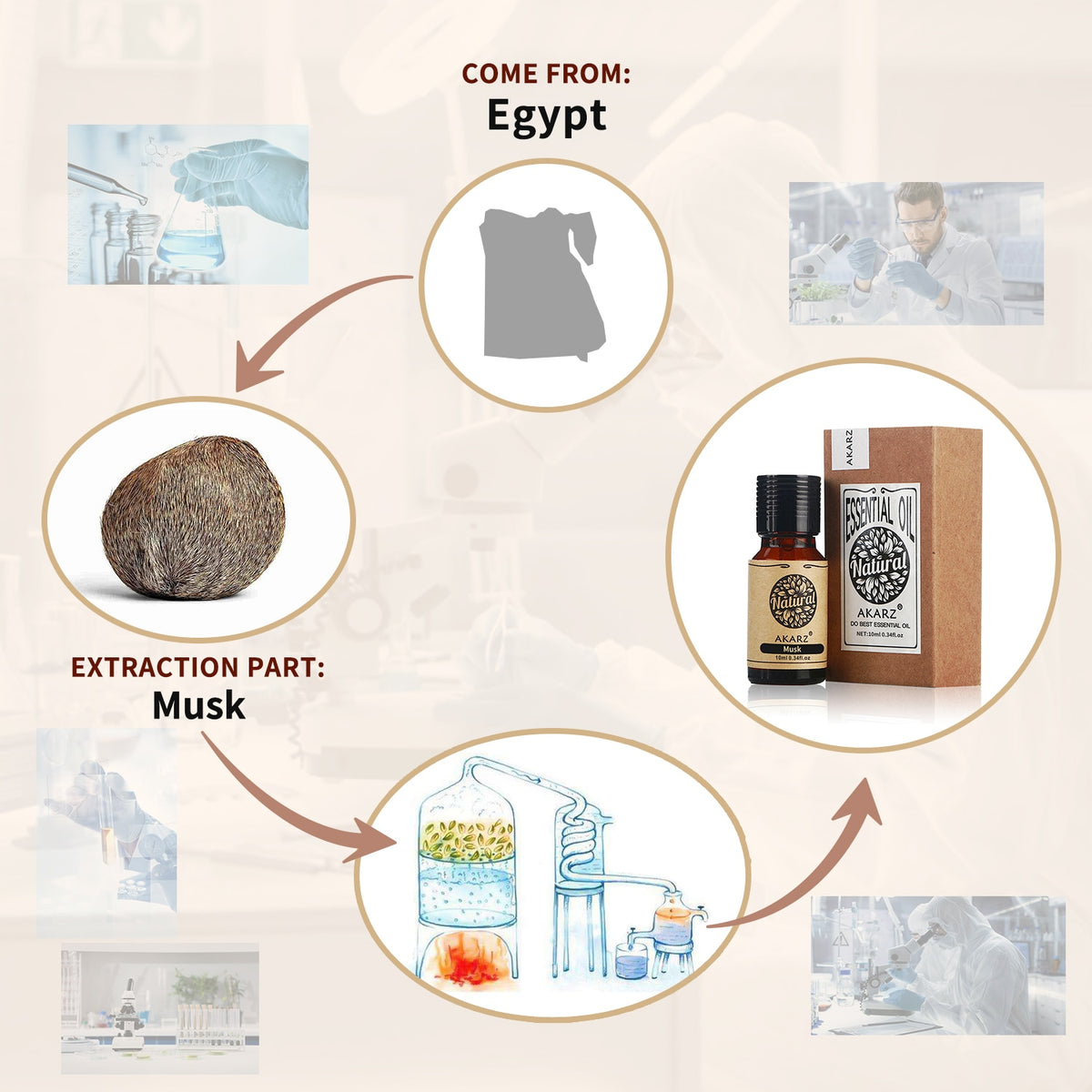Diagram showing the origin and extraction process of a product from Egypt, with images and text labels.