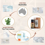 Diagram showing the origin and extraction process of a product from Australia, featuring tea tree leaves.