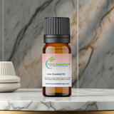 Anise oil bottle for diffuser use, aromatherapy sessions, and freshening indoor spaces.