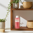 Apple Cinnamon fragrance oil bottle for candle making, soap crafting, and home fragrance use.