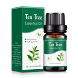 Fragrance Essential Oils Set 10ml bottles for diffusers, home aroma enhancement, and calming fragrance use.