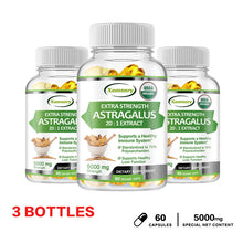 Astragalus Root Capsules bottle for daily energy, stamina support, and overall vitality wellness.