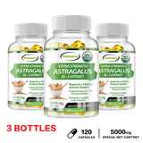 Astragalus Root Capsules bottle for herbal urinary health support, bladder wellness, and daily care.