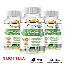 Astragalus Root Capsules bottle for herbal wellness support, vitality, and daily care.