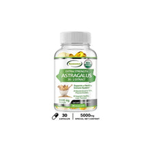 Astragalus Root Capsules supplement bottle for wellness support, energy maintenance, and antioxidant care.