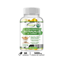 Astragalus Root dietary capsules bottle for antioxidant support, energy, and daily supplement use.