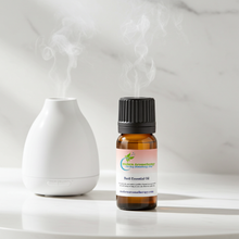 Basil Essential Oil glass bottle for aromatherapy diffusers, focus-enhancing blends, and fresh herbal home fragrance.