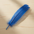 Blue Feather, 12 inches, turkey feather for smudging or quill use