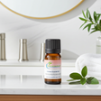Calamus essential oil bottle for aromatherapy, diffuser blends, and home fragrance use.