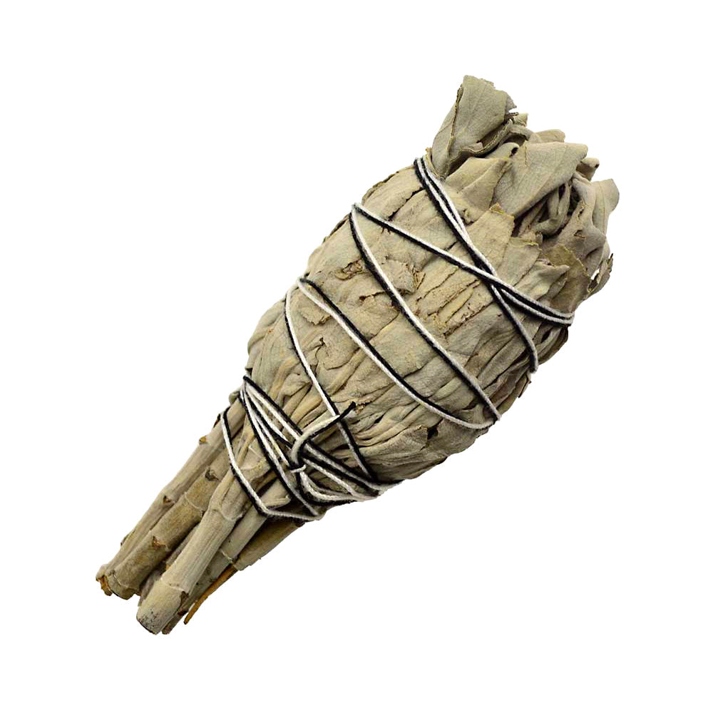 California White Sage Smudge Stick, 4 inches