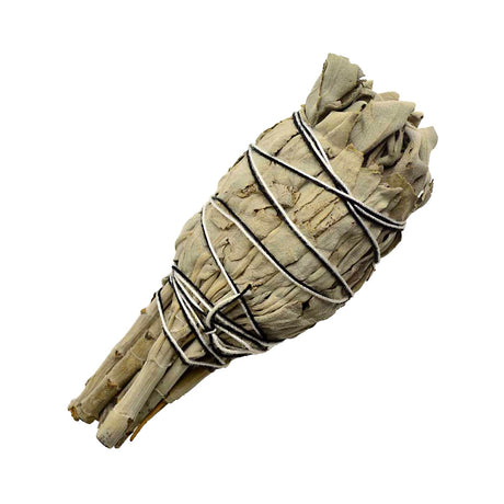 California White Sage Smudge Stick, 4 inches