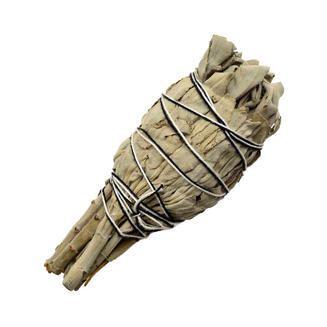 California White Sage Smudge Stick, 4 inches