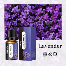 Car & Home Essential Oil Air Freshener 10ml diffuser oil for air care, scent improvement, and refreshing everyday spaces.