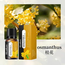 Car & Home Essential Oil Air Freshener fragrance oil bottle for keeping cars and homes smelling clean and inviting.