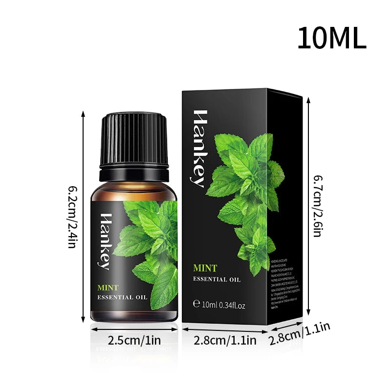 Car & Home Essential Oil Air Freshener 10ml bottle for diffuser scenting, air freshening, and everyday use in cars and home spaces.
