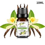 Car & Home Essential Oil Air Freshener scented oil bottle for aroma diffusion, odor control, and daily fragrance use.