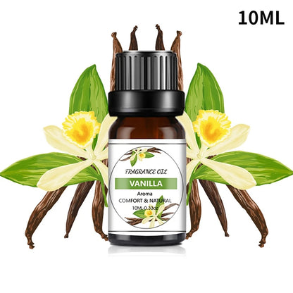 Car & Home Essential Oil Air Freshener scented oil bottle for aroma diffusion, odor control, and daily fragrance use.