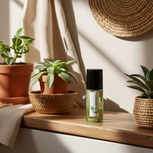 Caribbean Musk fragrance body oil bottle for softening skin, daily moisturizing, and long-lasting personal fragrance.