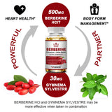 Ceylon Cinnamon Berberine HCI high potency capsules bottle for glucose support, daily wellness, and nutritional supplementation.